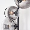 Dagan floor lamp clear, Smoke-coloured, 5-light sources