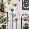 Gastor floor lamp 30 cm clear, Smoke-coloured, 4-light sources