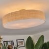 Foggia ceiling light matt nickel, 3-light sources