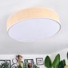 Foggia ceiling light matt nickel, 3-light sources