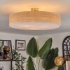 Foggia ceiling light matt nickel, 3-light sources