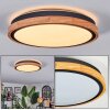 Coentral ceiling light, Panel LED white, 1-light source