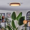 Coentral ceiling light, Panel LED white, 1-light source