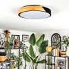 Cadaixo ceiling light, Panel LED white, 1-light source, Remote control