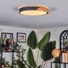 Cadaixo ceiling light, Panel LED white, 1-light source, Remote control