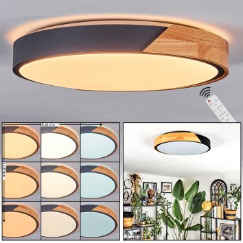 Cadaixo ceiling light, Panel LED white, 1-light source, Remote control