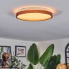 Sofo ceiling light, Panel LED white, 1-light source, Remote control