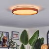 Sofo ceiling light, Panel LED white, 1-light source, Remote control