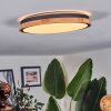 Coentral ceiling light, Panel LED white, 1-light source, Remote control