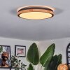 Coentral ceiling light, Panel LED white, 1-light source, Remote control