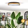 Coentral ceiling light, Panel LED white, 1-light source, Remote control