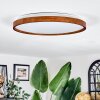 Sofo ceiling light, Panel LED white, 1-light source, Remote control