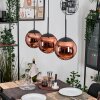 Gastor hanging light, globe light, pendant light coppery, 3-light sources