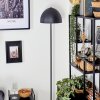 Mushroom Lamp  Tati floor lamp, wall spotlight Dark wood, black, 4-light sources