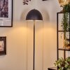 Mushroom Lamp  Tati floor lamp, wall spotlight Dark wood, black, 4-light sources