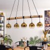 Ripoll hanging light, globe light, pendant light gold, clear, 5-light sources