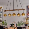 Ripoll hanging light, globe light, pendant light gold, clear, 5-light sources