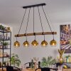 Ripoll hanging light, globe light, pendant light gold, clear, 5-light sources