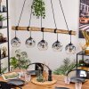 Ripoll hanging light, globe light, pendant light clear, Smoke-coloured, 5-light sources