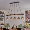 Ripoll hanging light, globe light, pendant light clear, Smoke-coloured, 5-light sources