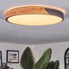 Cadaixo ceiling light, Panel LED white, 1-light source, Remote control