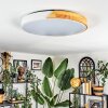 Cadaixo ceiling light, Panel LED white, 1-light source, Remote control