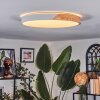 Cadaixo ceiling light, Panel LED white, 1-light source, Remote control