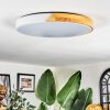 Cadaixo ceiling light, Panel LED white, 1-light source, Remote control