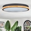 Cadaixo ceiling light, Panel LED white, 1-light source, Remote control