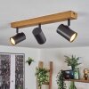 Gesteira ceiling light, ceiling spotlight Ecru, black, 3-light sources