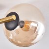 Gastor ceiling light, globe light 42 cm gold, black, 3-light sources