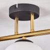 Gastor ceiling light, globe light 42 cm gold, black, 3-light sources