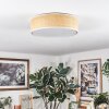 Antillo ceiling light white, 3-light sources