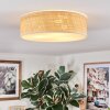 Antillo ceiling light white, 3-light sources