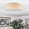 Antillo ceiling light white, 3-light sources