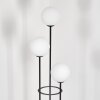 Gastor floor lamp 30 cm Dark wood, black, 3-light sources