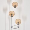 Koyoto floor lamp 30 cm Dark wood, black, 3-light sources