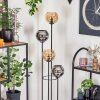 Koyoto floor lamp 30 cm Amber, chrome, Smoke-coloured, 4-light sources