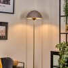 Guttsta ceiling light, floor lamp LED gold, black, 1-light source