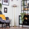 Guttsta ceiling light, floor lamp LED gold, black, 1-light source