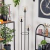 Gastor floor lamp 30 cm Dark wood, black, 3-light sources