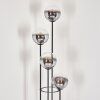 Gastor floor lamp 30 cm chrome, clear, Smoke-coloured, 4-light sources