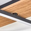 Hadel ceiling light LED Wood like finish, black, 1-light source