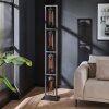 Lalora Floor Lamp anthracite, 4-light sources