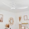 Follseland ceiling fan LED white, 1-light source, Remote control