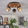 Haldor ceiling light, ceiling spotlight brown, chrome, black, 3-light sources