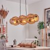 Cardeira hanging light, pendant light black, 4-light sources