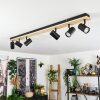 Gesteira ceiling light, ceiling spotlight Ecru, black, 6-light sources