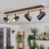 Gesteira ceiling light, ceiling spotlight Ecru, black, 4-light sources