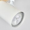 Gesteira ceiling light, ceiling spotlight Ecru, white, 4-light sources